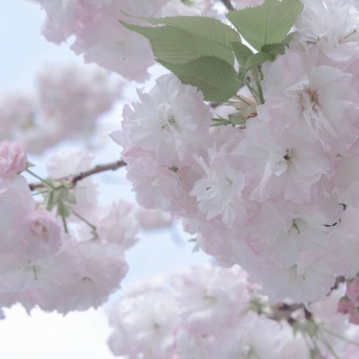 龙港福瑞交流群